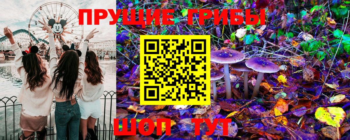 Галлюциногенные грибы Psilocybine cubensis  Вход с VPN  Нягань 